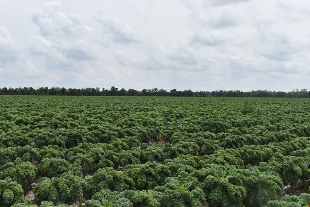 Bunnell 40 Acre Farm