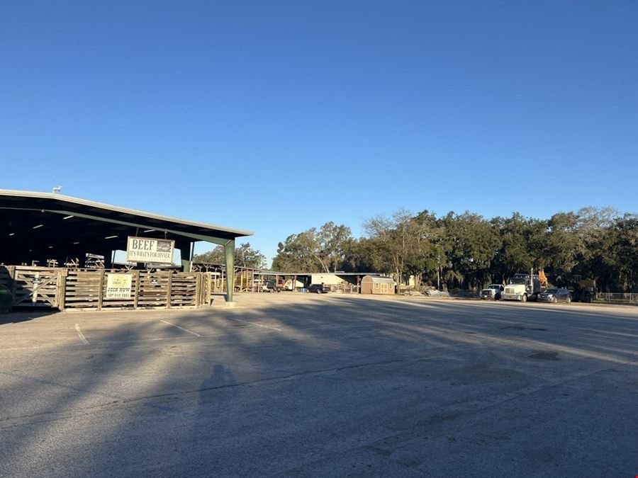 Webster Residential Development Land