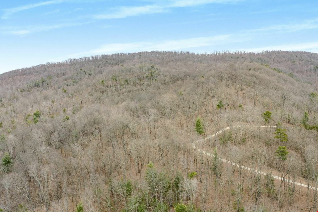 78.08 Acres - Winfield, TN