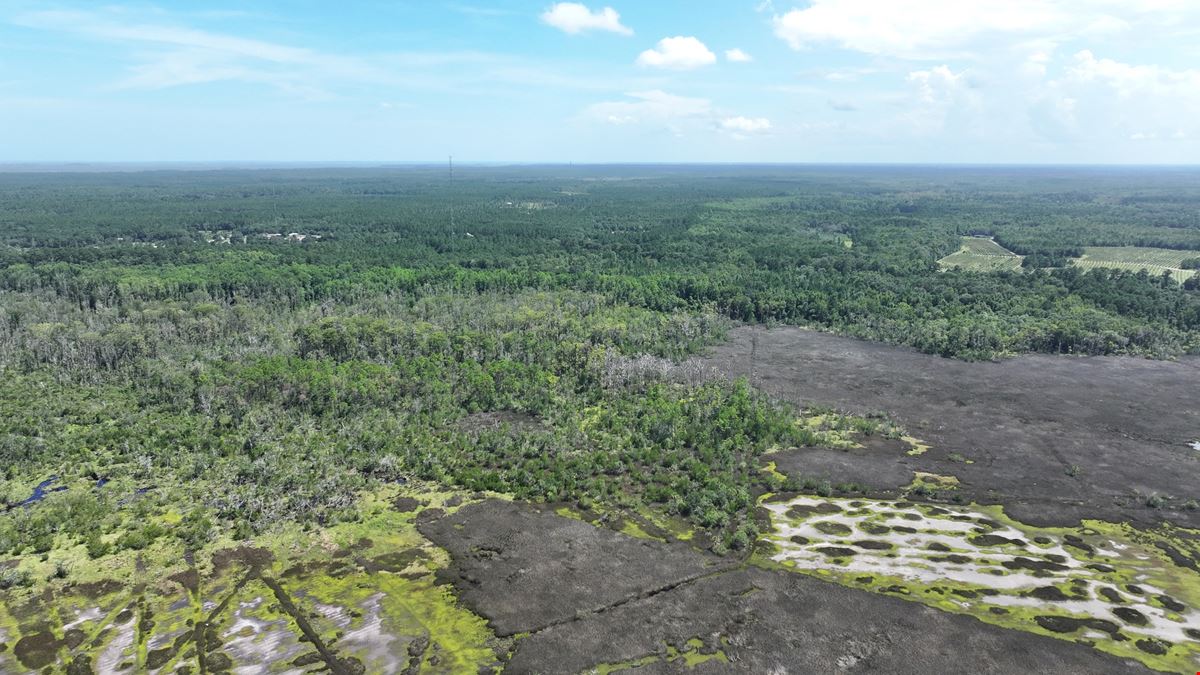 113 Marshfront Acres in McIntosh County Georgia