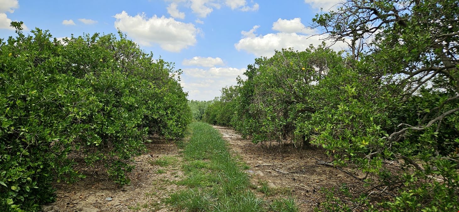 45 Acres – Valencia Grove with 10” Well in Polk County, FL