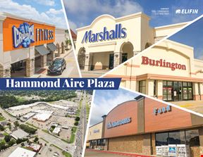Retail Space at Hammond Aire Plaza