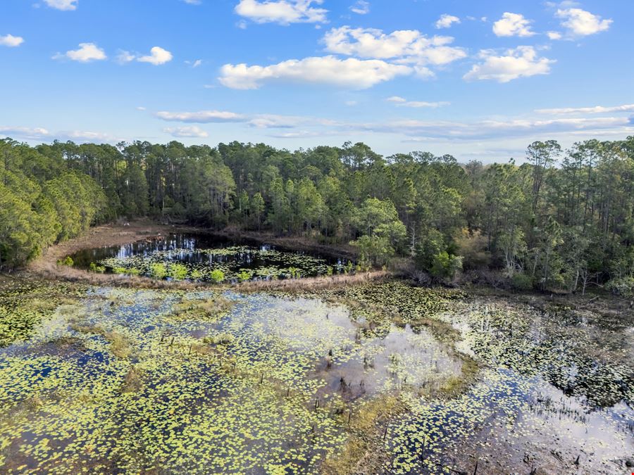 Frank von Frankenstein 21 Acre Development Tract