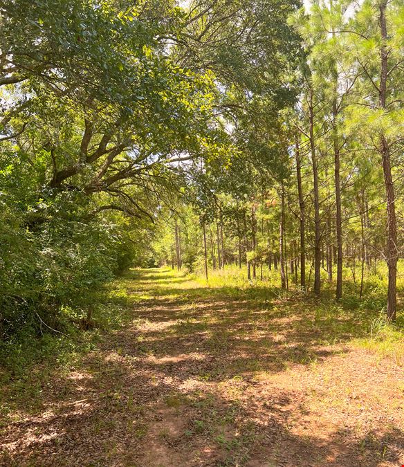 Wood Valley Farm