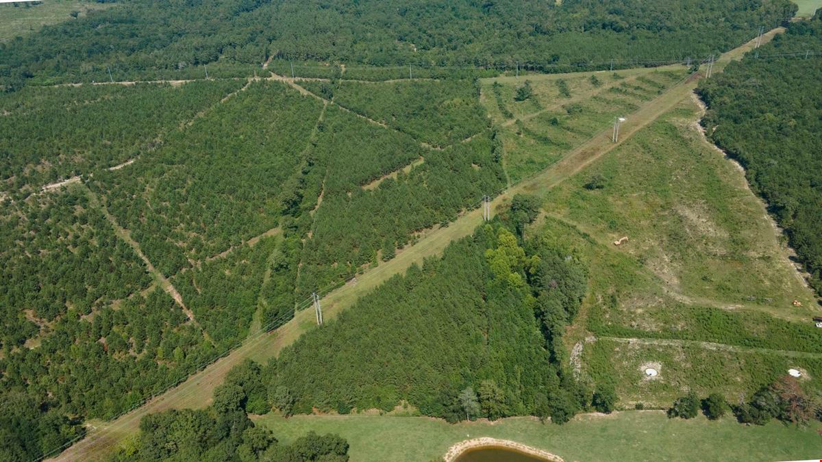 ±34 Acres | Salley, SC