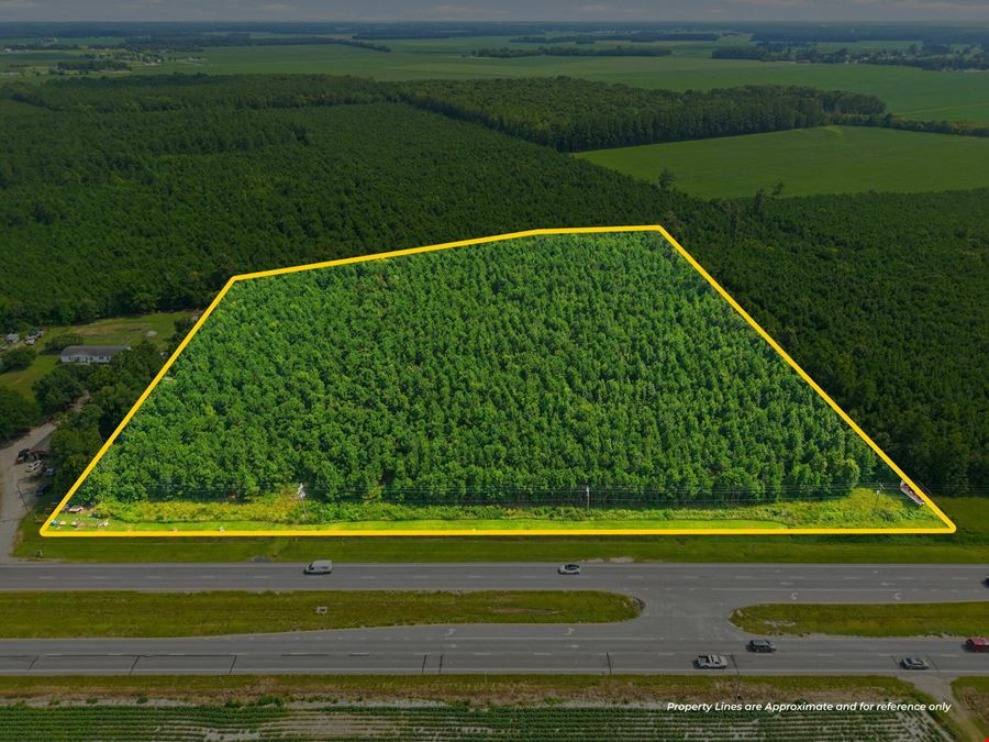 Prime Commercial Development Land on US Highway 17 | Hertford NC