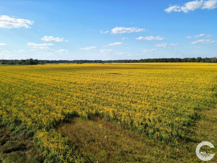 671 +/- Acres of Certified Organic Farmland in Decatur County, GA