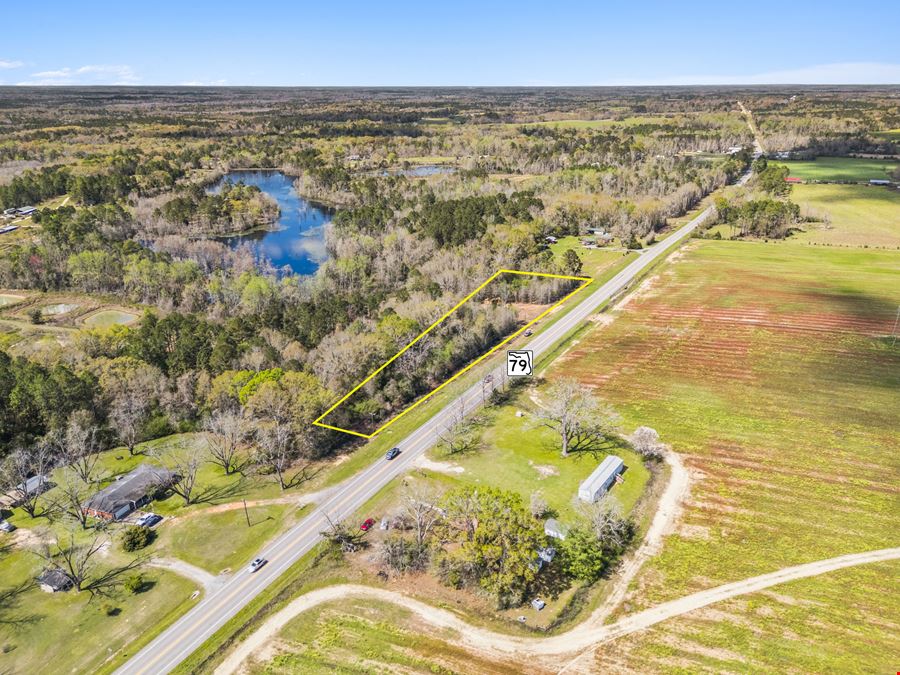 Bonifay SR-79 Frontage Land