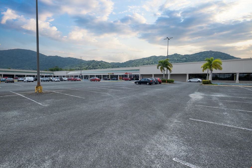 PLAZA YABUCOA SHOPPING CENTER