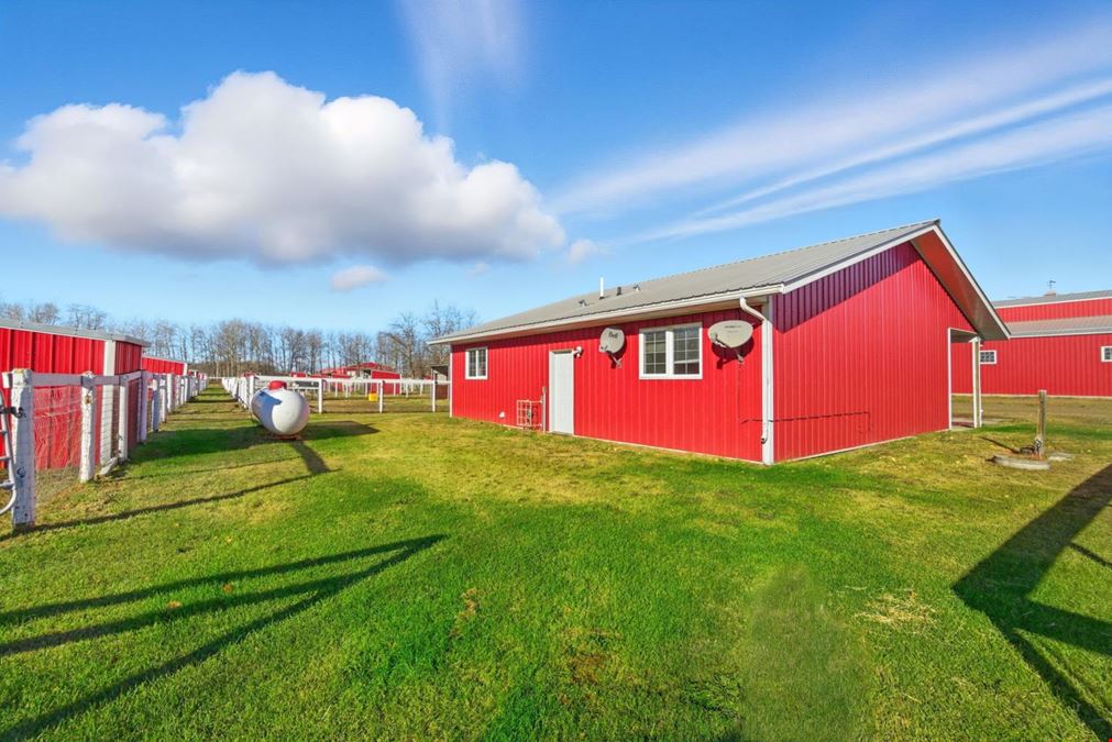World-Class Equestrian in Central Alberta (Canada)
