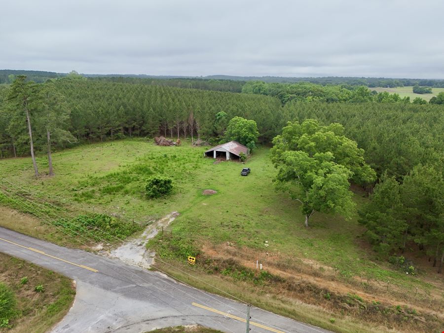 Searcy Branch Timber and Rec