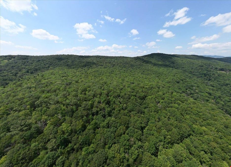 173 ACRES MOUNTAIN-SIDE LAND