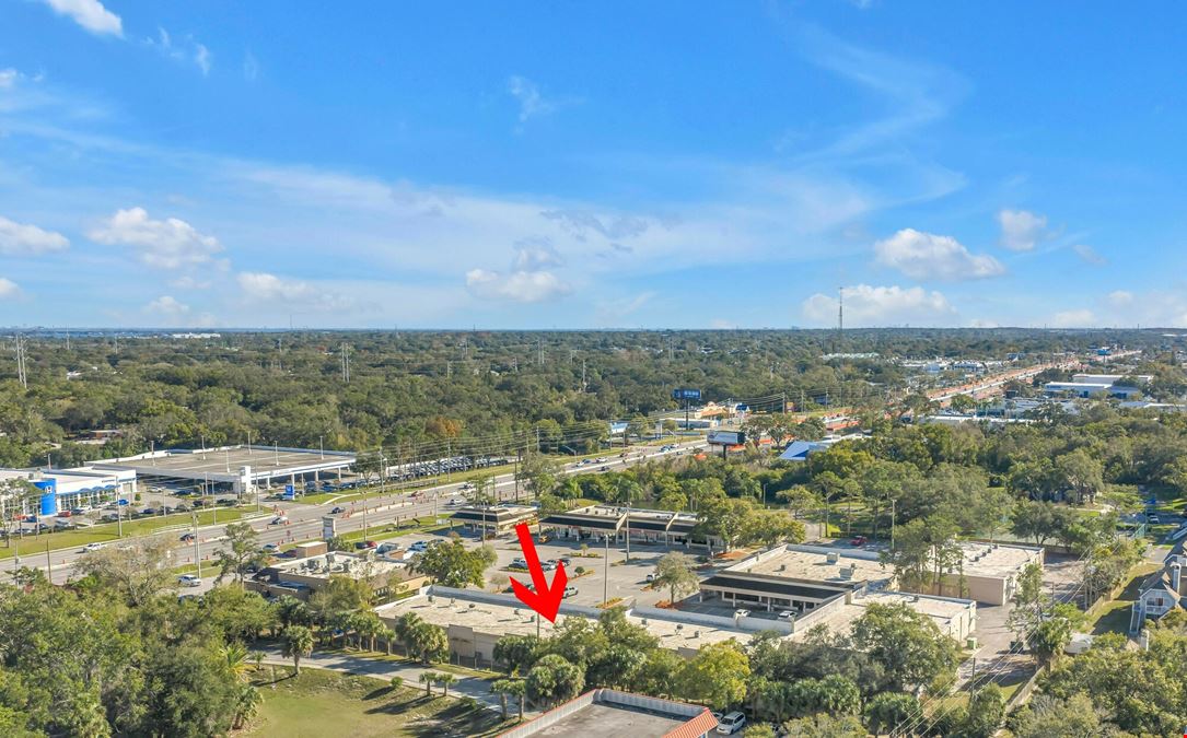 Twin Lakes Plaza in Palm Harbor