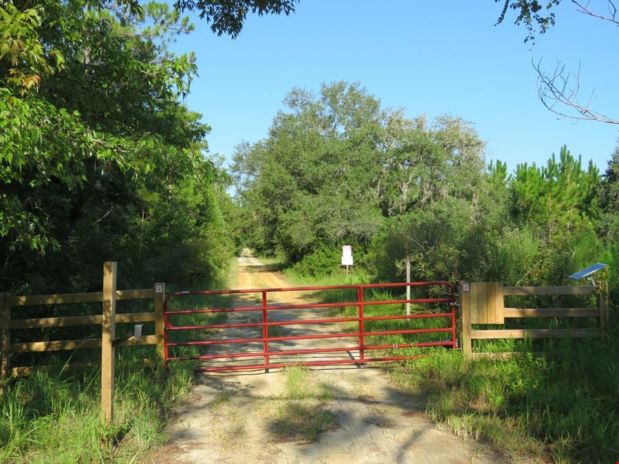 Interlachen Timber and Conservation Tract