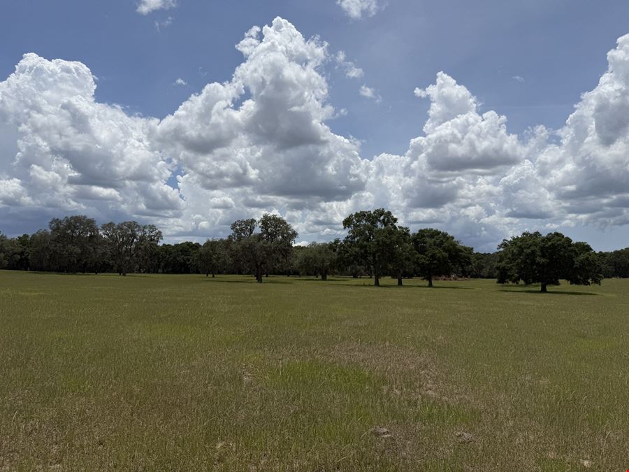 72± Acre Marion County Ranchette