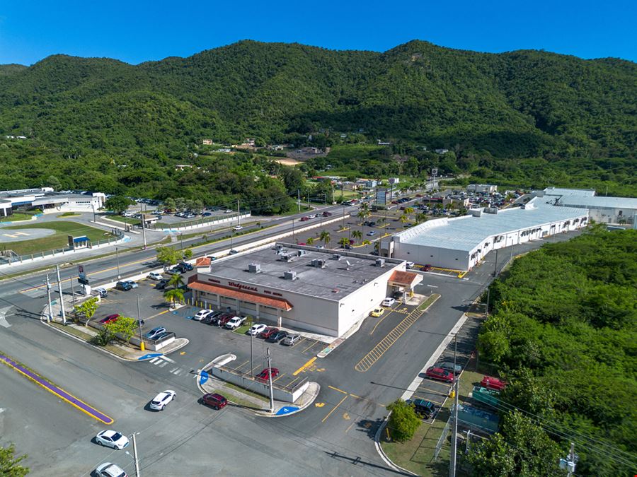 Walgreens Store #9118 in Peñuelas