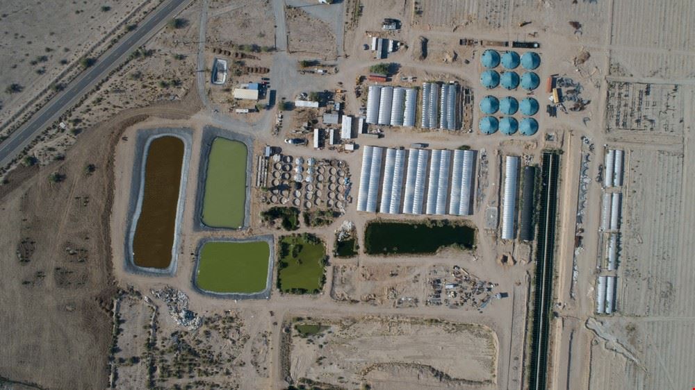 Global Organic Farm, Inc.