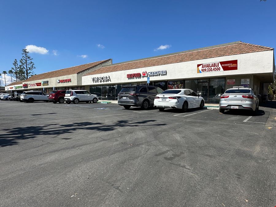 Magnolia Place to Shop
