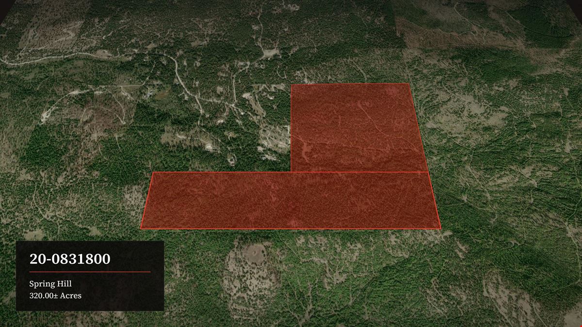 320 Private Wooded Acres West of Kalispell, Montana