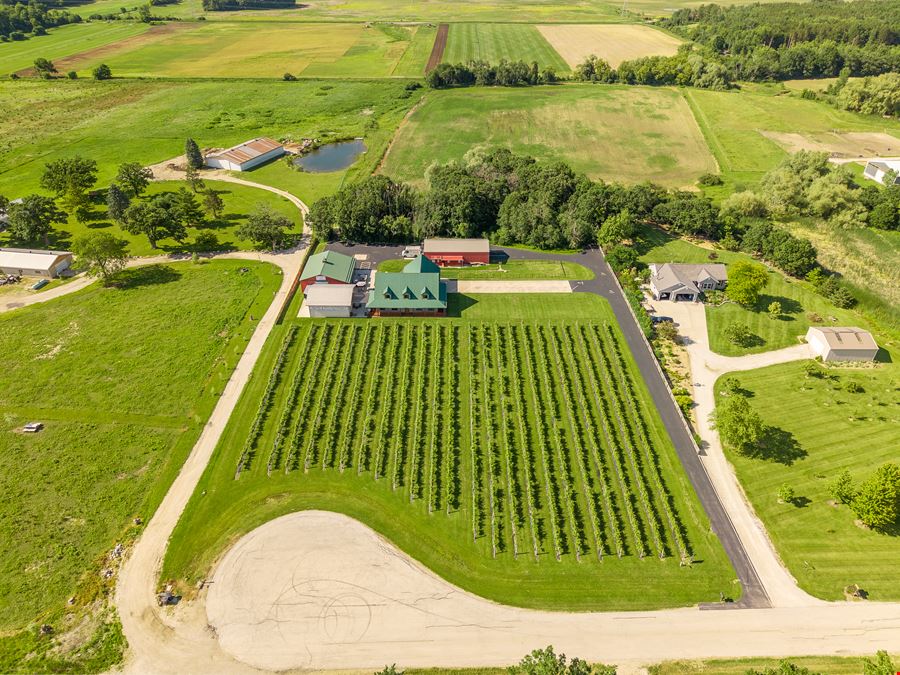 Spirits of Norway Vineyard