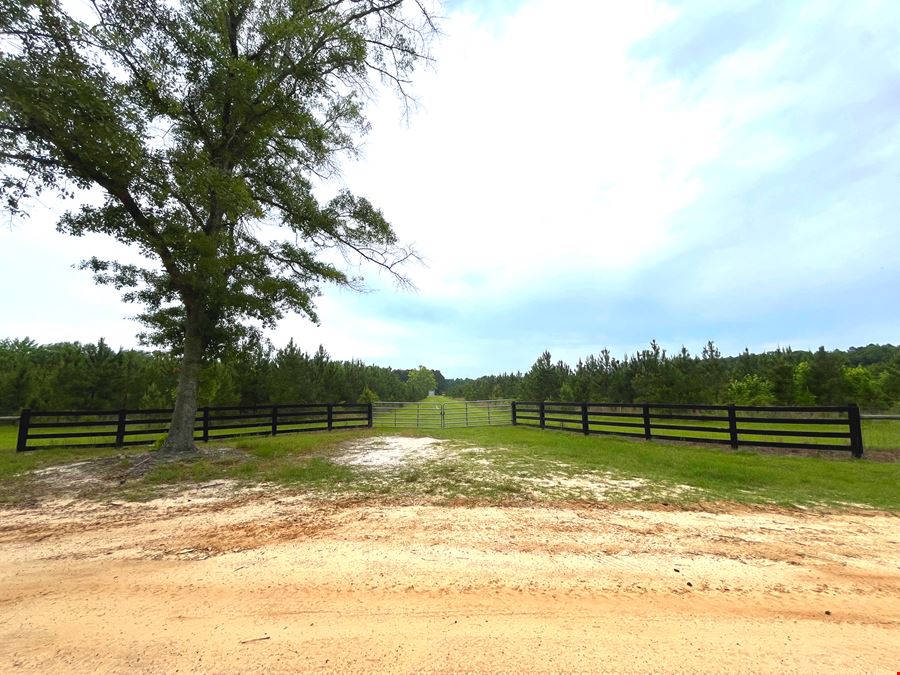 182 Acres Timberland with Cabin & Ponds