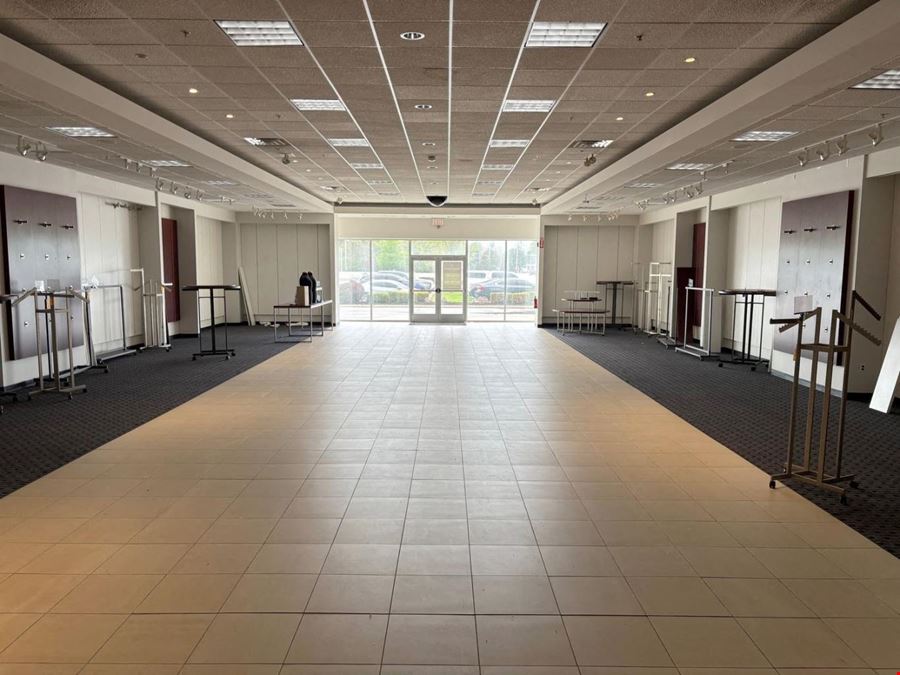 Springfield Commons