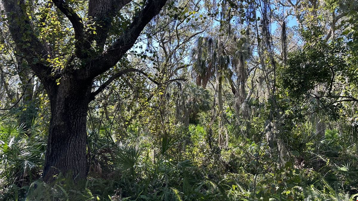 Executive Homesite - 4.19 Acres, Florida