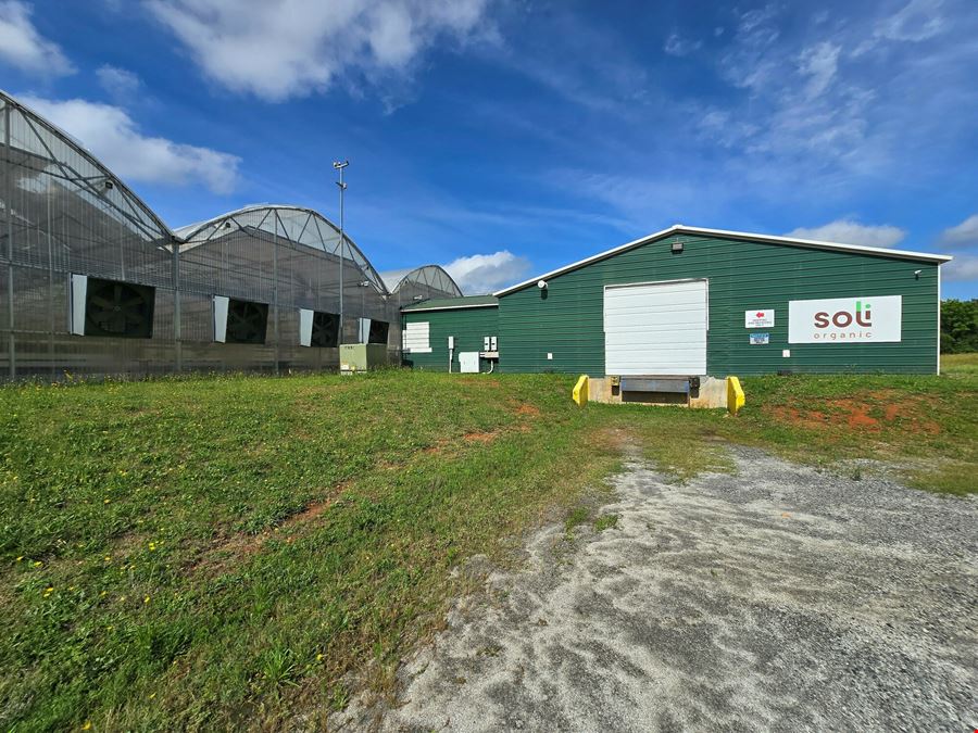 464 Lankford Rd, Bowersville, GA 30516 | CommercialSearch.com