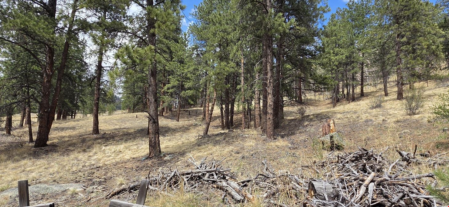 15+ Acres of Commercial Land
