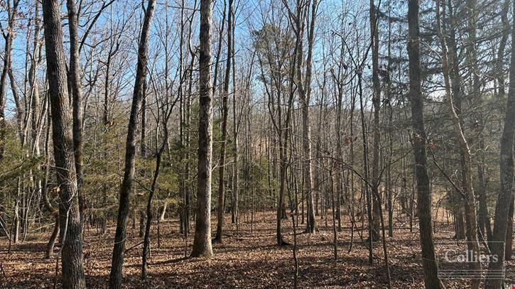 ±105-Acre Recreational Tract with Practical Homestead Sites