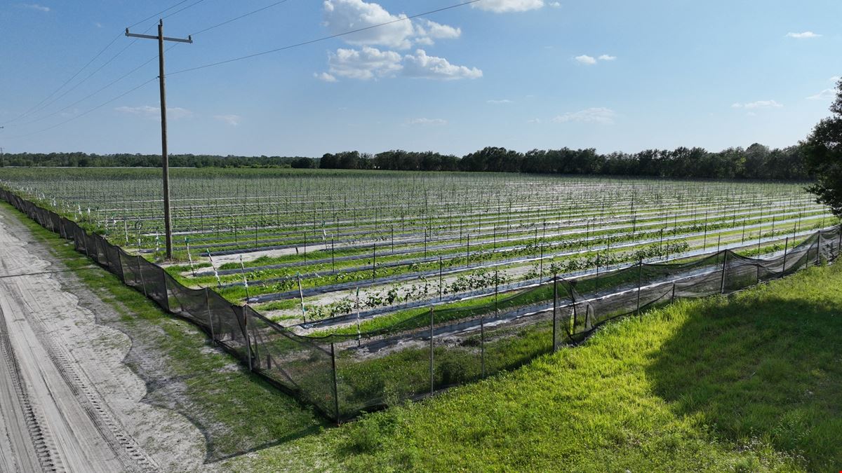 Manatee County Farmland