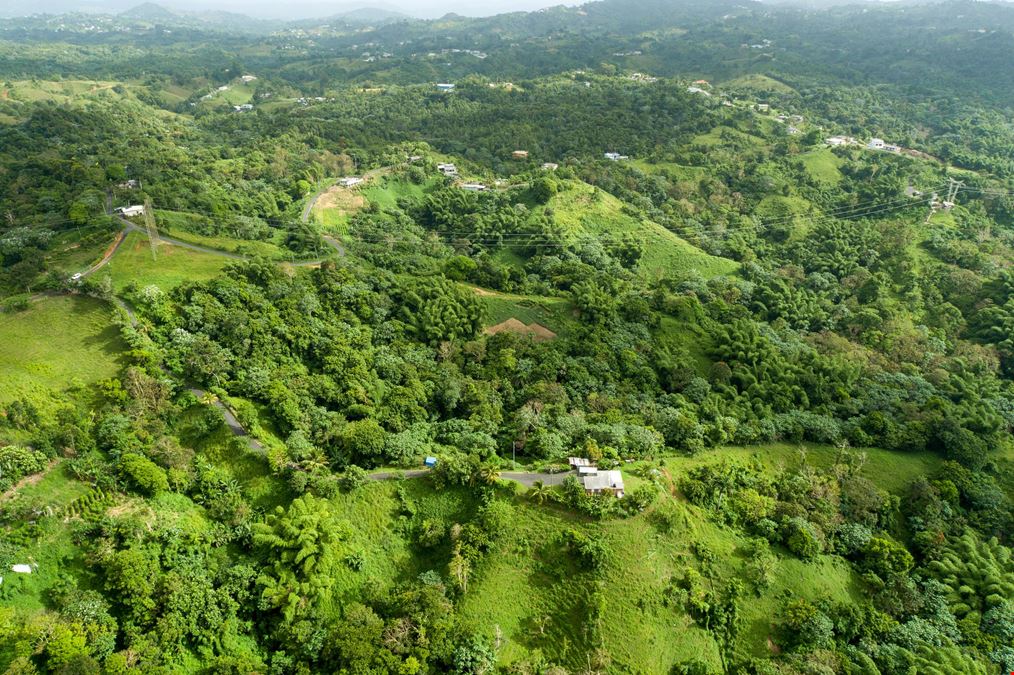 Yabucoa Land For Sale