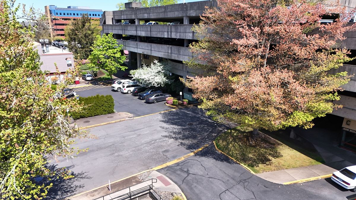 Pringle Park Plaza
