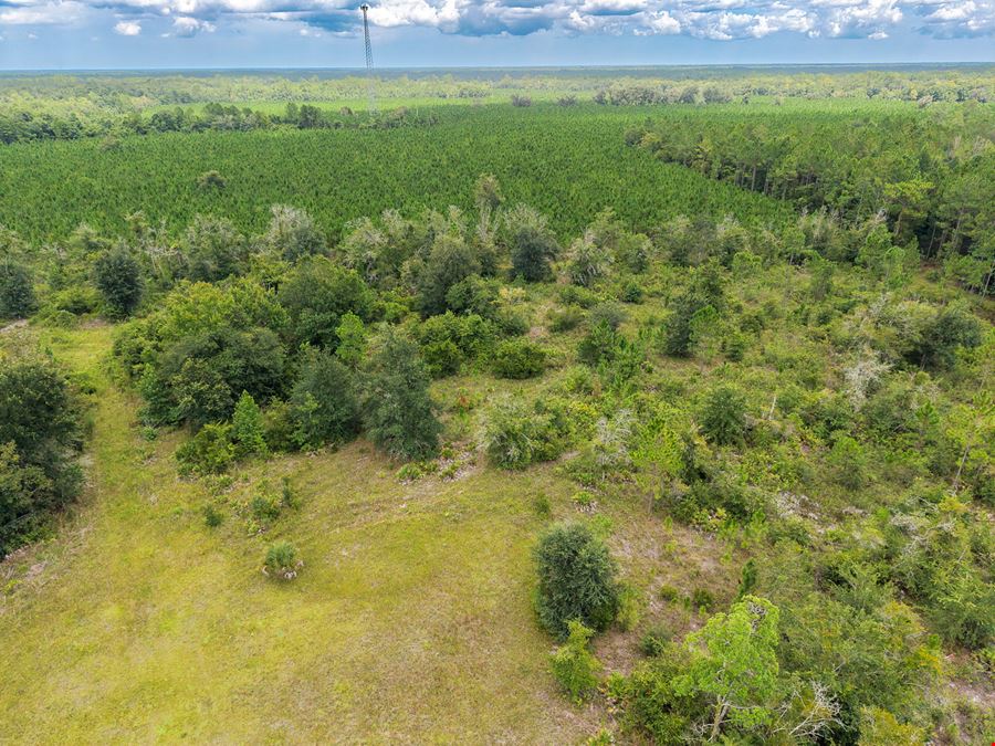 1360 N. Hwy 17 Palatka 