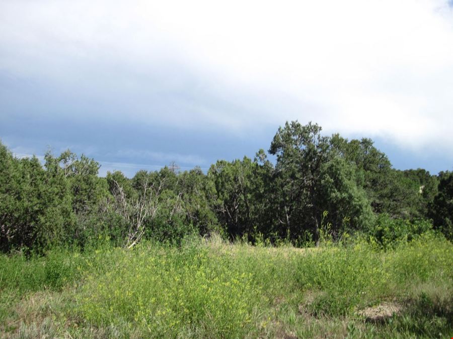 10433 State Highway 337