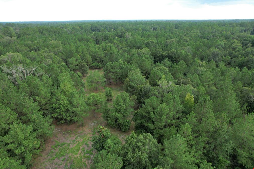Micanopy Homesite and Recreational Tract