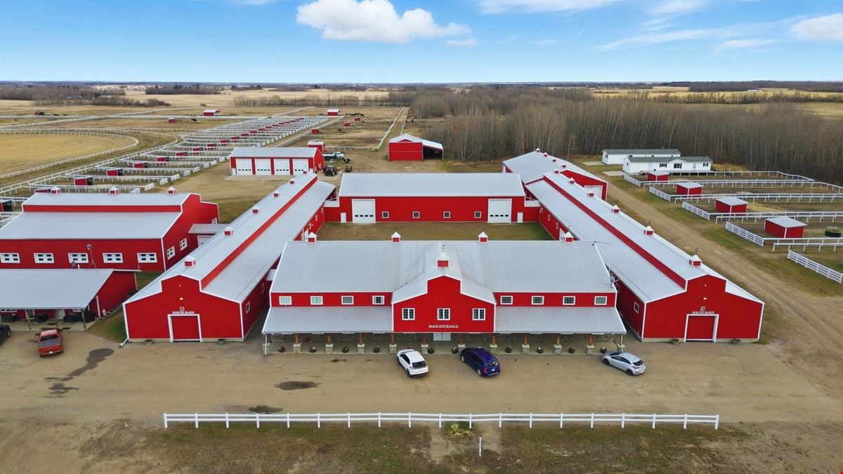 World-Class Equestrian in Central Alberta (Canada)