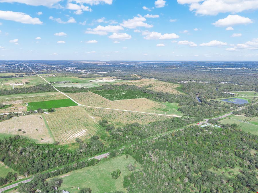 Peace River Mixed-Use Development Tract — 114± Acres | 18± AC Commercial | 2,179' on SR-64