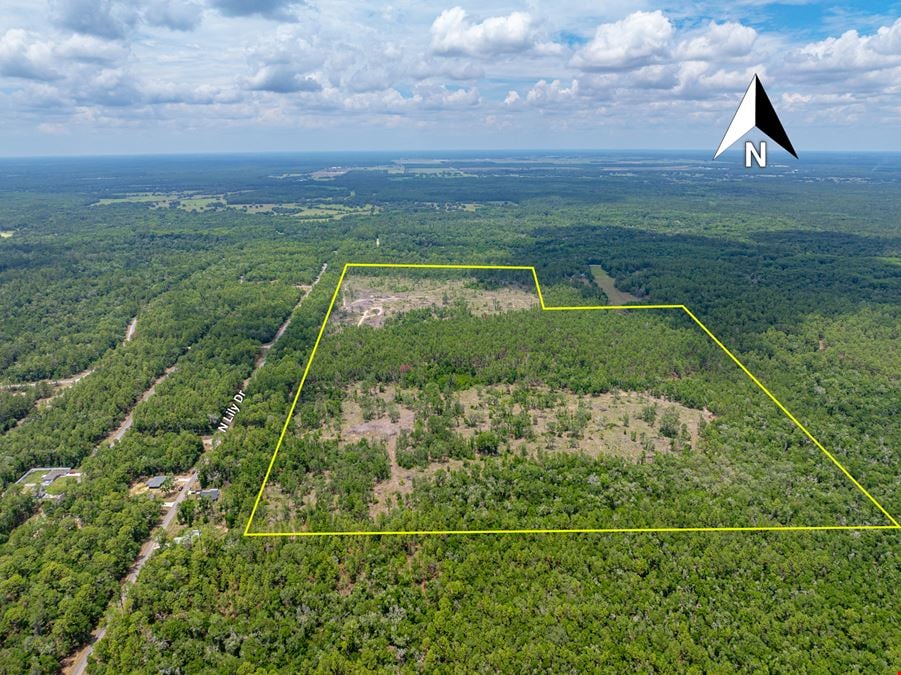 Citrus County 189 Acres