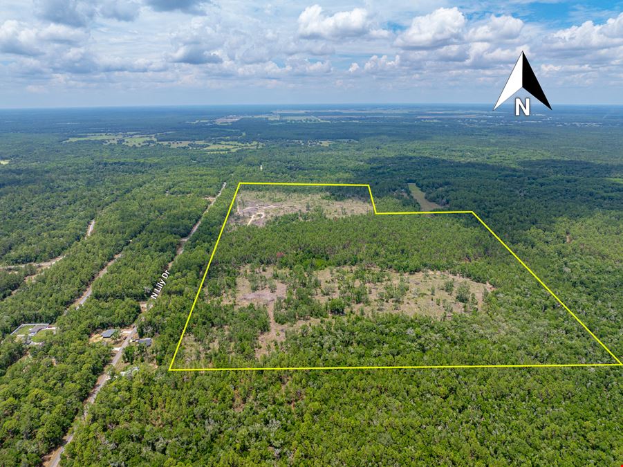 Citrus County 189 Acres