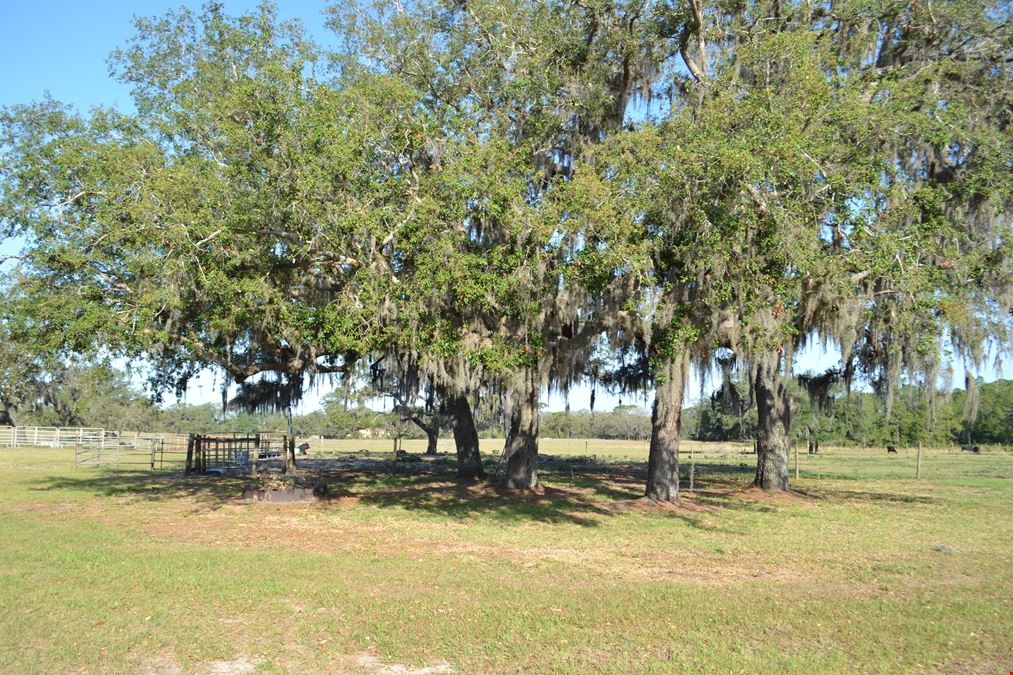 Carter Ranch - Polk County Acreage and Home