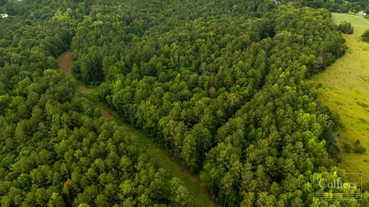 ±97.79 Acres Ready for Development in Spartanburg County