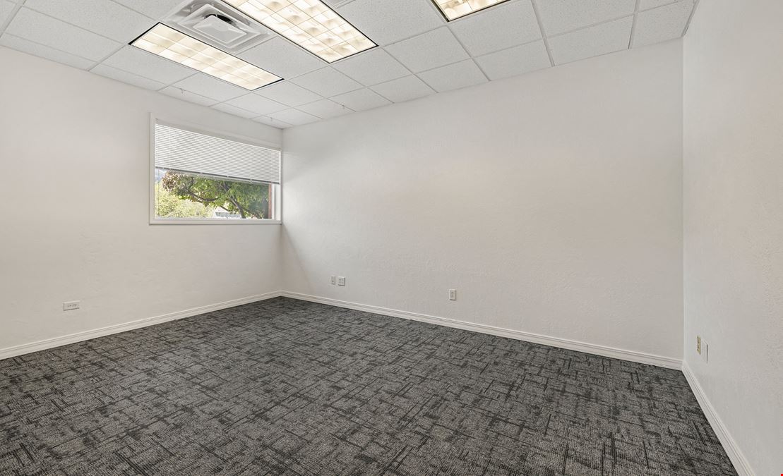 Prime Salmon Office Space