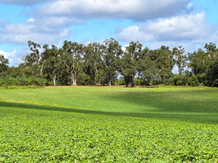 Lake Rachel Ag Land