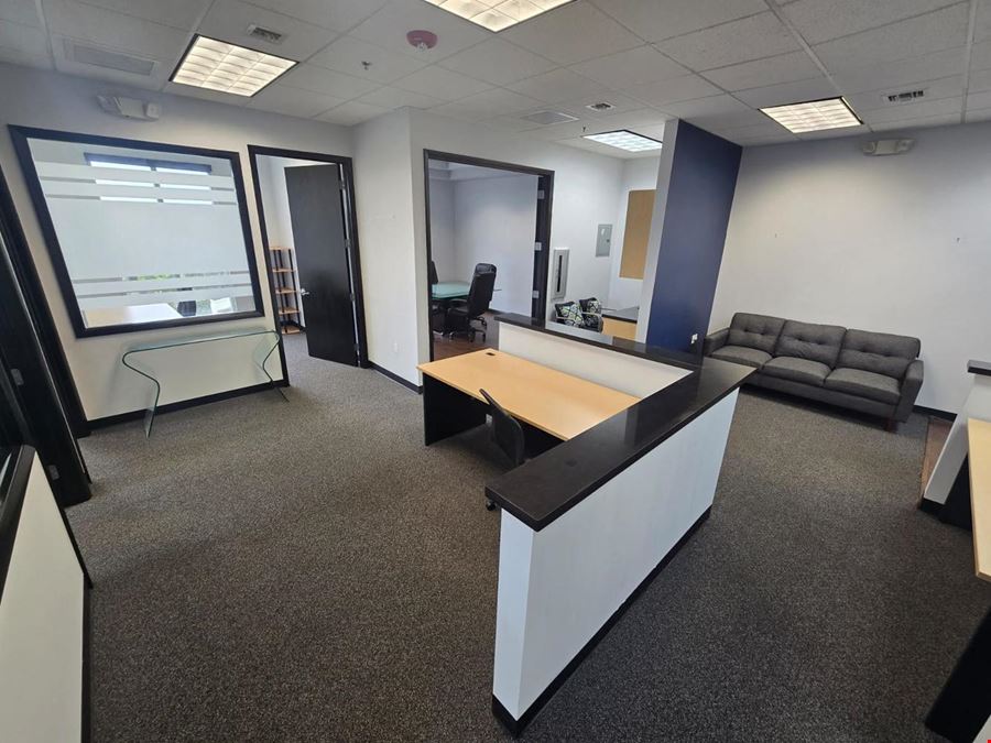 Professional Office