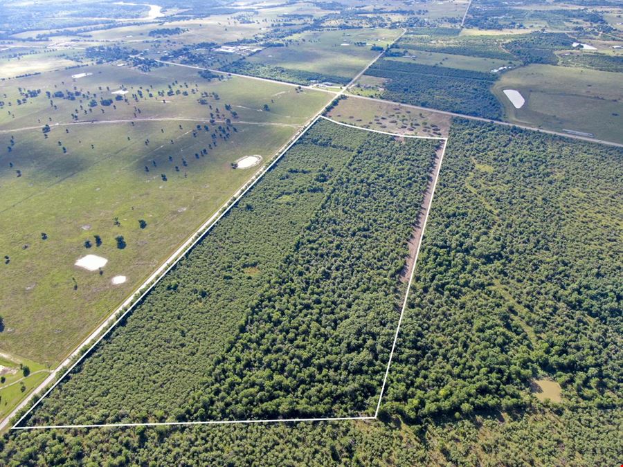 85 Acre Development Tract on FM 1486