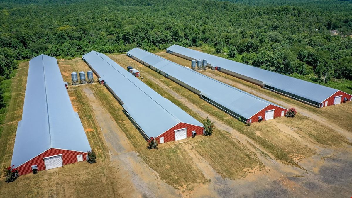 Mena AR Broiler Chicken Farm