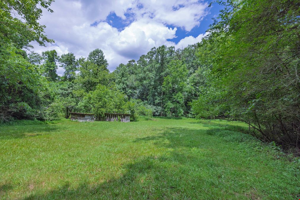 1728 Brevard Road