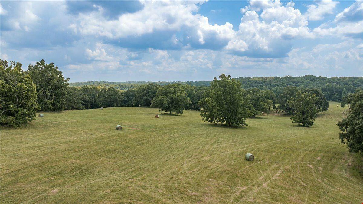 CHANDLER BRIDGE RD 719 ACRES