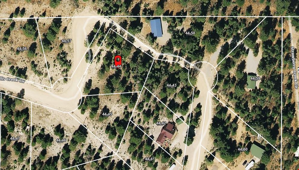 1730 Willis Creek Cir